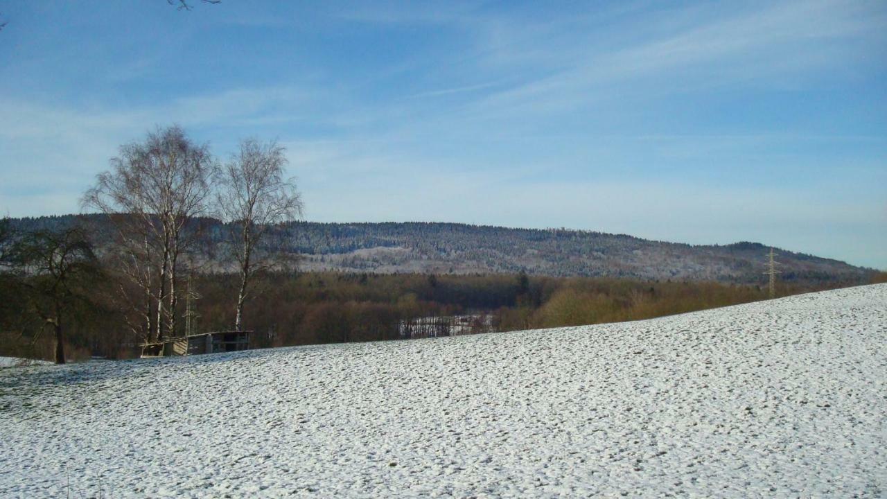 Haus Am Teutoburgerwald Apartment Sandebeck Екстериор снимка